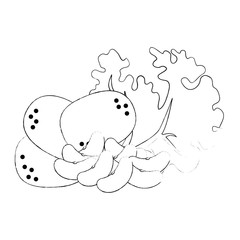 fresh lettuce with beans and potatoes healthy food