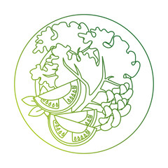 dish with fresh lettuce and beans