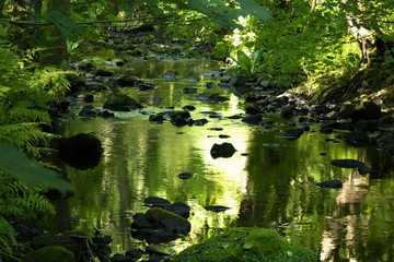 Summertime reflections on a rocky stream at Oak Beck,Birk Crag,Harrogate,North Yorkshire,England,UK.