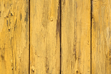 Naklejka premium Yellow color old grunge wooden fence pattern.