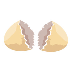shell egg cracked isolated icon