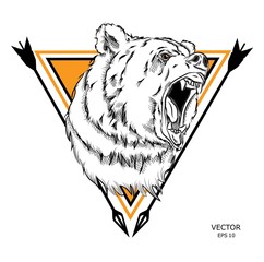 portrait of an bear in the background of a triangle.Can be used for printing on T-shirts, flyers and stuff. Vector illustration