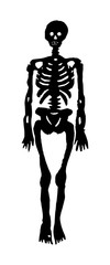 funny skeleton silhouette