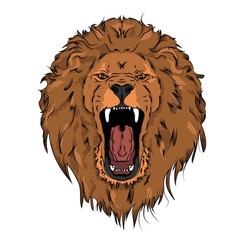 A hipster lion on a background of blots. Vector illustration