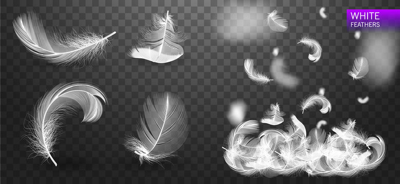 Set of isolated white fluffy feathers on transparent background. Falling twirled realistic feathers isolated on a transparent background. Vector Illustration