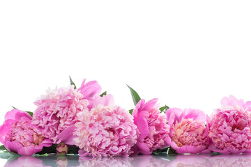 bouquet of blooming peonies