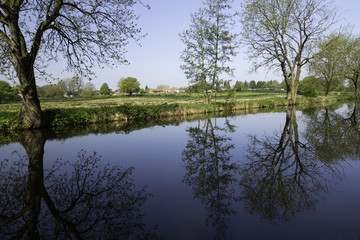 Calm reflections of trees on a canal at Ripon, North Yorkshire, England, UK.