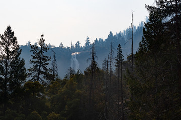 Waterfall among the trees