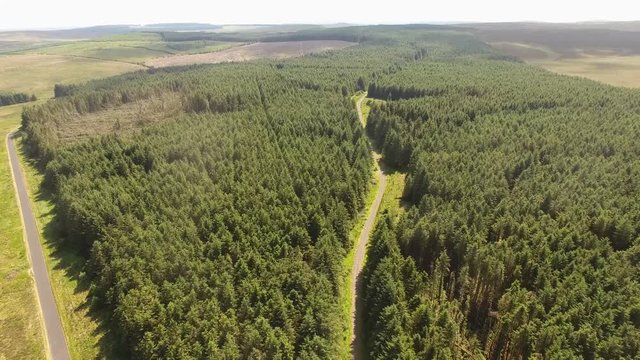 Capnagh Moss Bog Forest woods in Ireland
