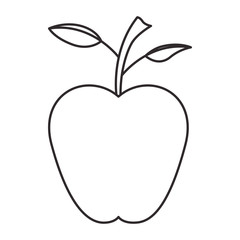 apple fresh fruit healthy vector illustration design