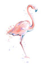 Pink flamingo sketch vector illustration on white background