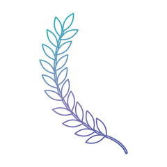 Fototapeta premium leafs spike decorative icon vector illustration design