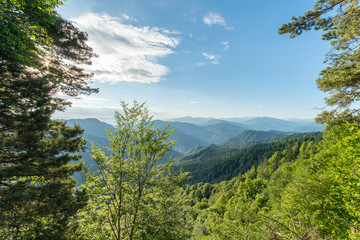 Fototapeta premium Fabulous views of the beautiful wooded mountain peaks