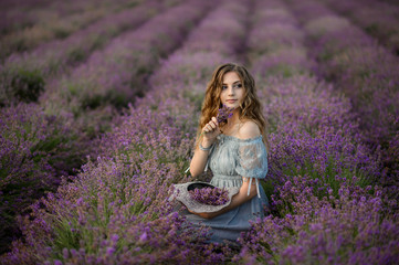 Beautiful woman in a field of lavender. Woman in amazing dress walk on the lavender field.