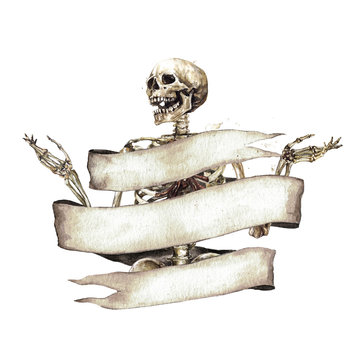 Human Skeleton decorated with ribbon banner. Watercolor Illustration.
