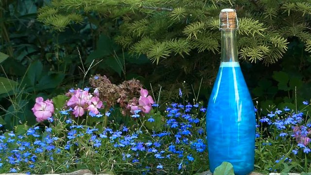 Blue elixir in a bottle in the forest
