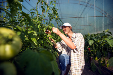 Young woman at work in greenhouse.Taking care of plants