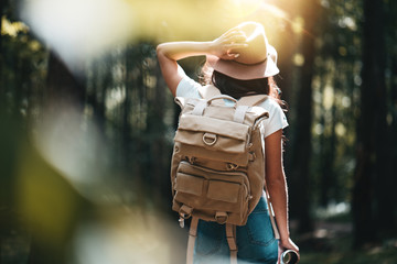 Young woman traveler with backpack walking among trees at forest in sunset - obrazy, fototapety, plakaty