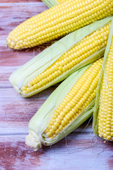 Ripe and sweet corn on a wooden background