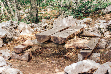 Bench and table in the forest made of solid wood.