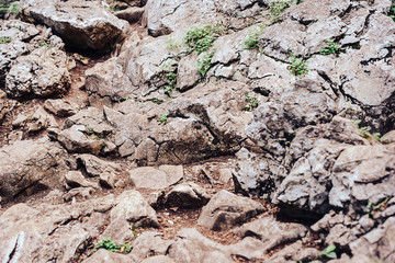 Rocky surface close-up in the mountains.

