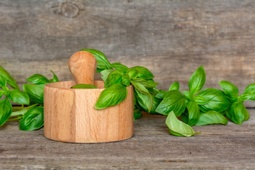 Fresh basil in wooden mortar. Culinary herbs.