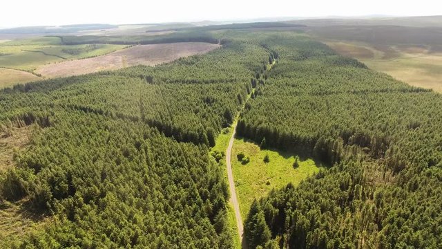 Capnagh Moss Bog Forest woods in Ireland