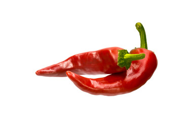 chili pepper isolated