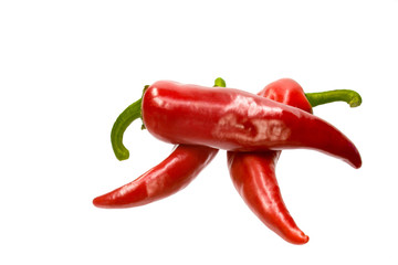 chili pepper isolated