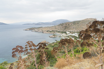 Fototapeta na wymiar Greece shore