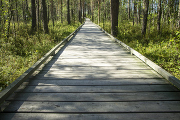 Obraz premium The pedestrian road from a board flooring in the wood.