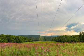 Algonquin Park hydro lines 