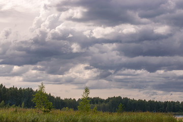 Rain gray clouds over green forest. Cumulus clouds.