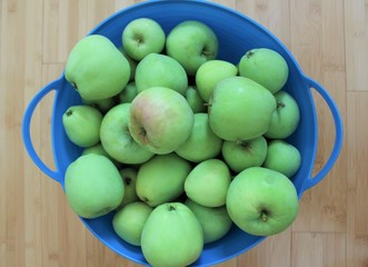 Harvested backyard apples