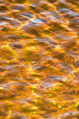 ripples and glare on yellow water