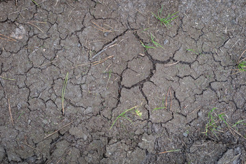 Earth destroyed by great drought. Lack of water and cracked earth. Season of the summer.