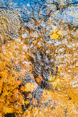 Circles on the water. Harz Mountain.