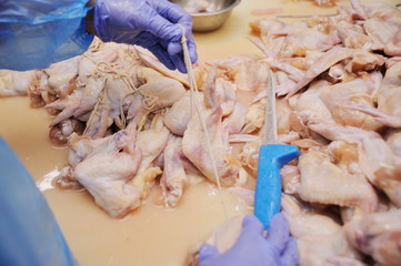 Plant for processing poultry in the food industry. chicken