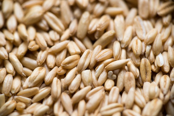 close up to oat grains