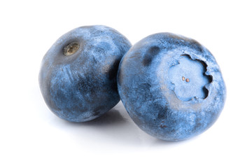two fresh blueberry isolated on white background