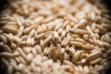 close up to oat grains