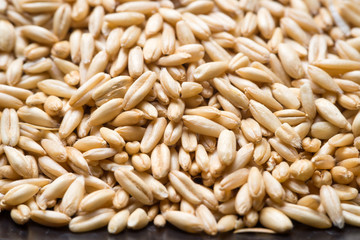 close up to oat grains
