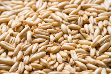 close up to oat grains