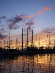 Ala Wai Boat Harbor Honolulu city colorful sunset Oahu island Hawaii