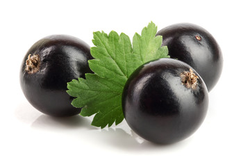 three black currant with leaf isolated on white background
