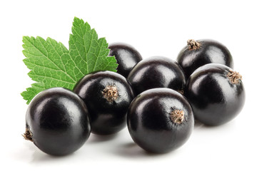 black currant with leaf isolated on white background