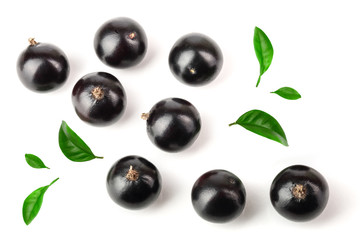 black currant with leaf isolated on white background. Top view. Flat lay pattern