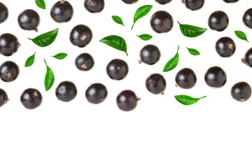 black currant isolated on white background with copy space for your text. Top view. Flat lay pattern