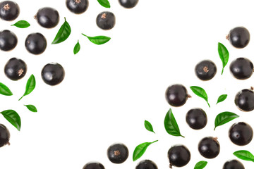 black currant isolated on white background with copy space for your text. Top view. Flat lay pattern