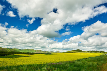 Hulunbuir grasslands of inner Mongolia.